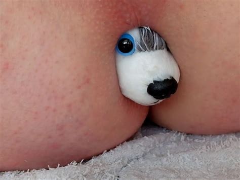 Anal Vore Husky AV Short Husky Plushy ThisVid