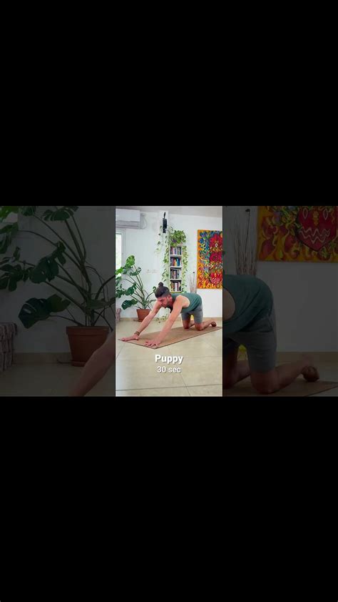 Yoga Routine For Complete Beginners