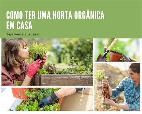 Como Ter Uma Horta Org Nica Em Casa Web Post News