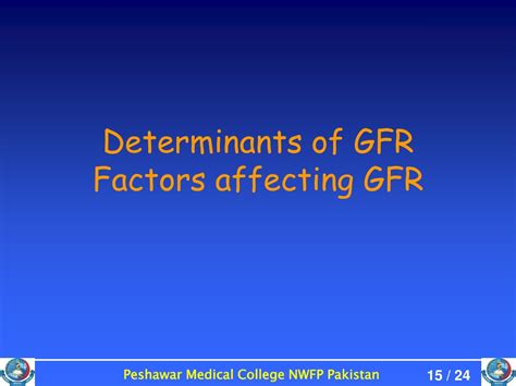 PPT - Glomerular Filtration Rate (GFR) and Factors Affecting Kidney