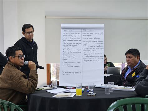 Governing with multiple voices: How Paraguay + Verde promotes