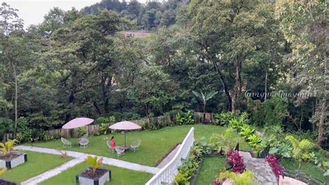 Caio Na Net Cat Of Fleshy Pussy Caught Naked Masturbating Cnn Amador