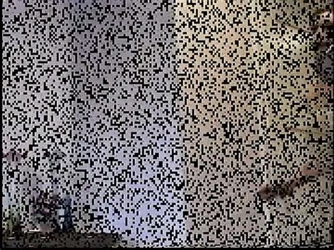 Jamie Lynn Porn Videos 2025 Porn Star Sex Scenes XHamster