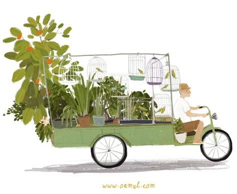  卤猫 Garden Illustration Illustration Design Illustration