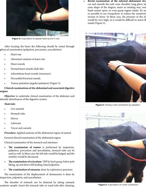 Figure 4 From Practical Manual On Veterinary Clinical Diagnostic