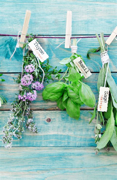 herb gardeningherb gardening indoors herb gardening kitchen