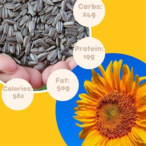 Amazing Health Benefits Of Sunflower Seeds You Should Know About In 2024 Sunflower Seeds