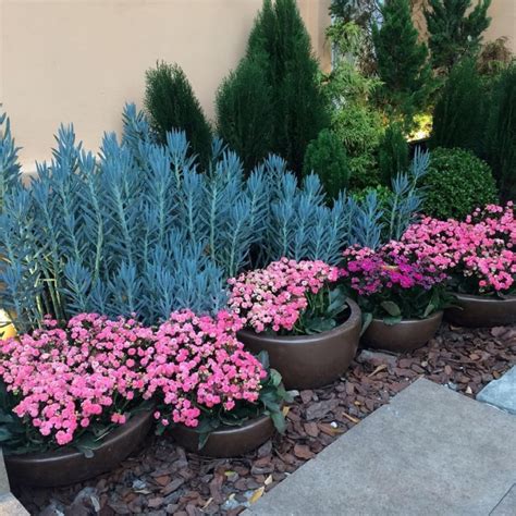 Jardins Plantados Em Vasos - + 38【VASOS PARA JARDIM】ᐅ Modelos e Ideias Modernas