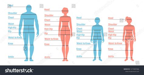 1356 Art Size Chart Images Stock Photos And Vectors Shutterstock