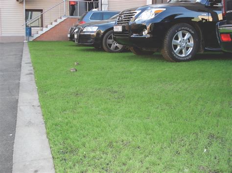 Grass Driveway Grid Grass Parking Grid Ground Grid Gravel Vodaland