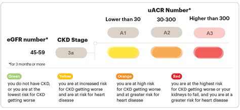Stage 3a CKD: Mild to Moderate Kidney Function Loss Explained ...