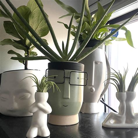 Best houseplant fertilizer to help my planties pop offf!!?! : r/houseplants