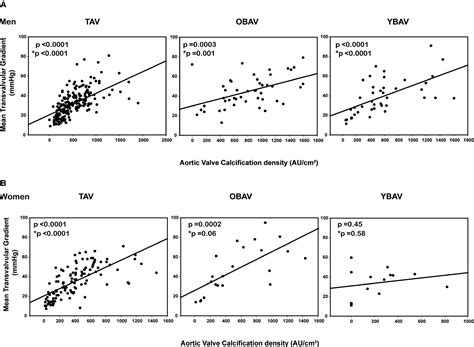Age Sex And Valve Phenotype Differences In FibroCalcific Remodeling Of Calcified Aortic Valve