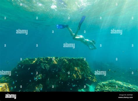 Frau Im Durchsichtigen Bikini Fotos Und Bildmaterial In Hoher Aufl Sung Alamy