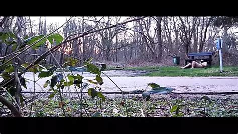 Free Caught Naked In Public Gay Porn Videos Xhamster