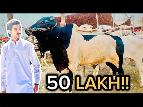 50 Lakh Ka Janwar Mandi Ka Sabsy Mehnga Janwar Khalifa 360 Vlogs