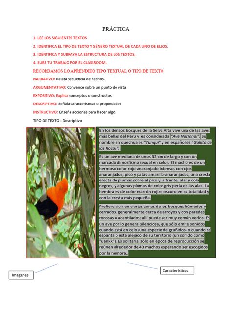 PRÁCTICA | PDF | Zoología