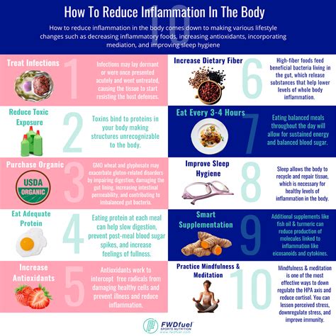 How To Reduce Inflammation In The Body Infographic - FWDfuel Sports Nutrition