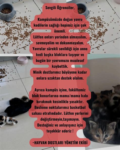 Jet Pilotu Itiraf Etti