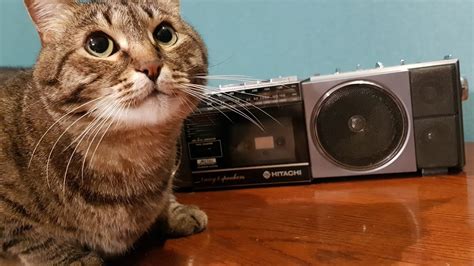 Необычный экспонат - YouTube