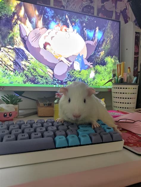 "Get in the car Elizabeth" : r/GoodGirls