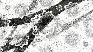 Watch Galgame Galgame Porn Spankbang