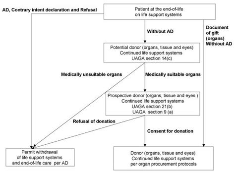 The Revised Uniform Anatomical Gift Act Uaga Advance Health