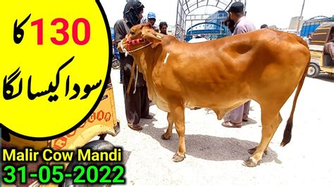 Malir Mandi Karachi Cattle Rates Update 31 05 2022 Qurbani 2022 K