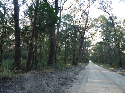 rosedale australia          tripadvisor