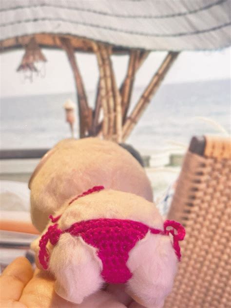 Labubu Bikini Clothes Hobbies Toys Toys Games On Carousell