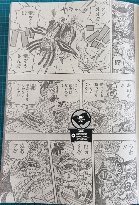 Raw one piece chapter 1055