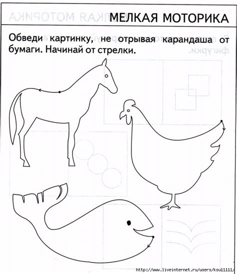 Проверяем знание дошкольника. Тесты 5 лет. Часть 2. Обсуждение на ...