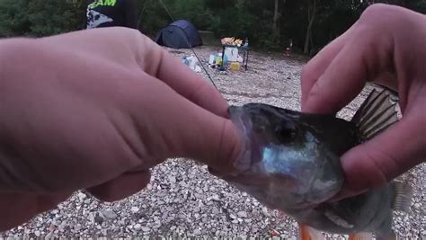 Перекат - офіційна сторінка магазину - Home | Facebook