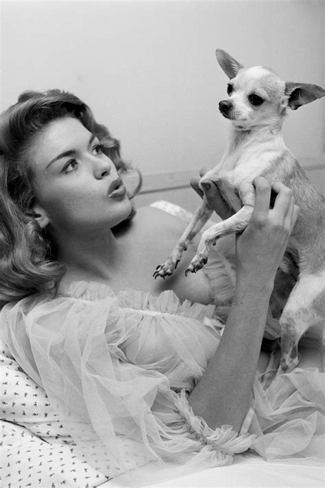 Accident De Voiture De Jayne Mansfield Le Pare Chocs Arrière Des