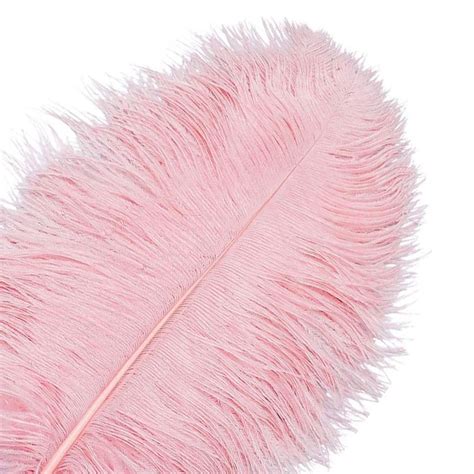 Bulk Ostrich Feathers White Ostrich Feathers