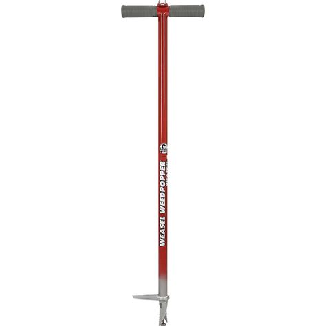 Best Dandelion Removal Tool Top 6 Gone For Good