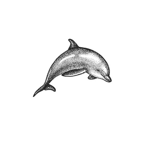 Dolphin Tattoo in 2022 | Dolphins tattoo, Realistic temporary tattoos ...