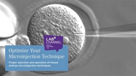 Optimize Your Microinjection Technique Proper Selection And Operation