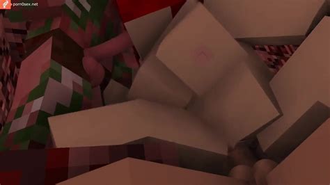 Group Sex In Minecraft