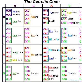 genetic code short note