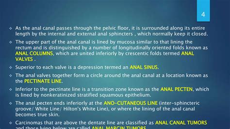 Carcinoma Anal Canal Powerpoint Presentation Pptx