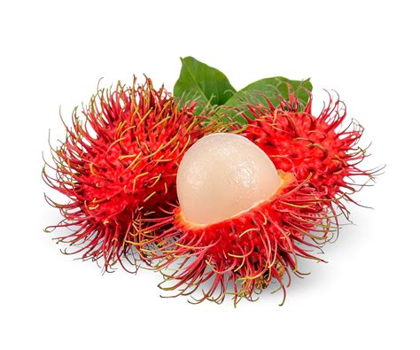 Rambutan Tropical Fruit Florida