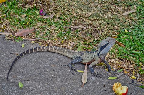 Kake Nude Beach And Other Challenges Kaked By Katie