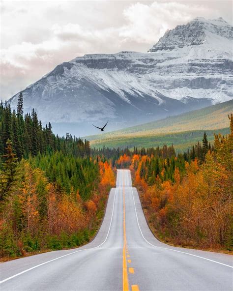 Ultimate Guide To Enjoying Banff In The Fall And The Best Things To Do