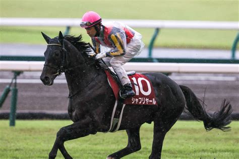 【天皇賞・秋】出走馬の調教後の馬体重 競馬ニュースなら競馬のおはなし