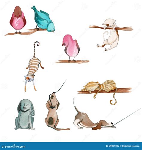Conosci Gli Animali 108 Indovinelli Illustrati Da Lorenzo Ridolfi 1
