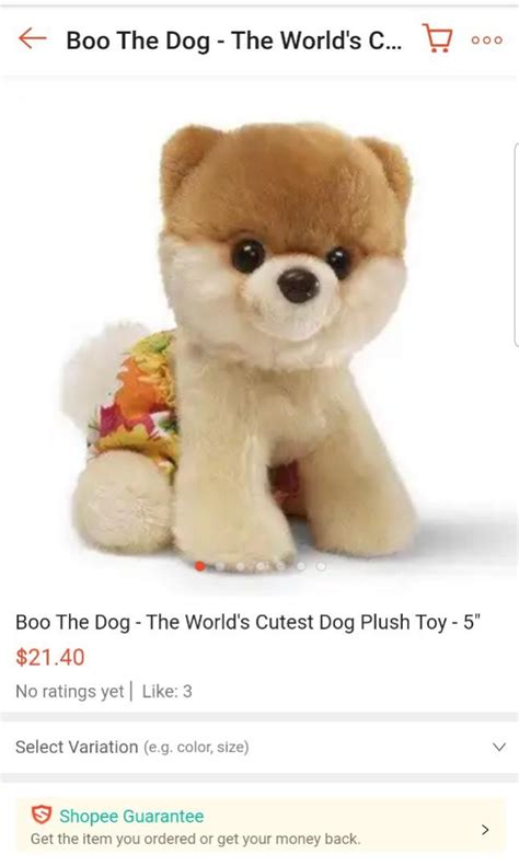 Gund Boo The Worlds Cutest Dog Plush Toy 5 Hobbies And Toys Toys