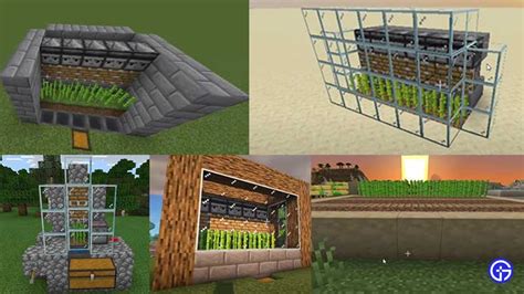 how to grow sugarcane fast minecraft