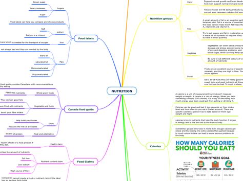 Nutrition Mind Map