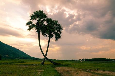 Amalapuram Best Places To Visit Amalapuram Top Sights Best Time